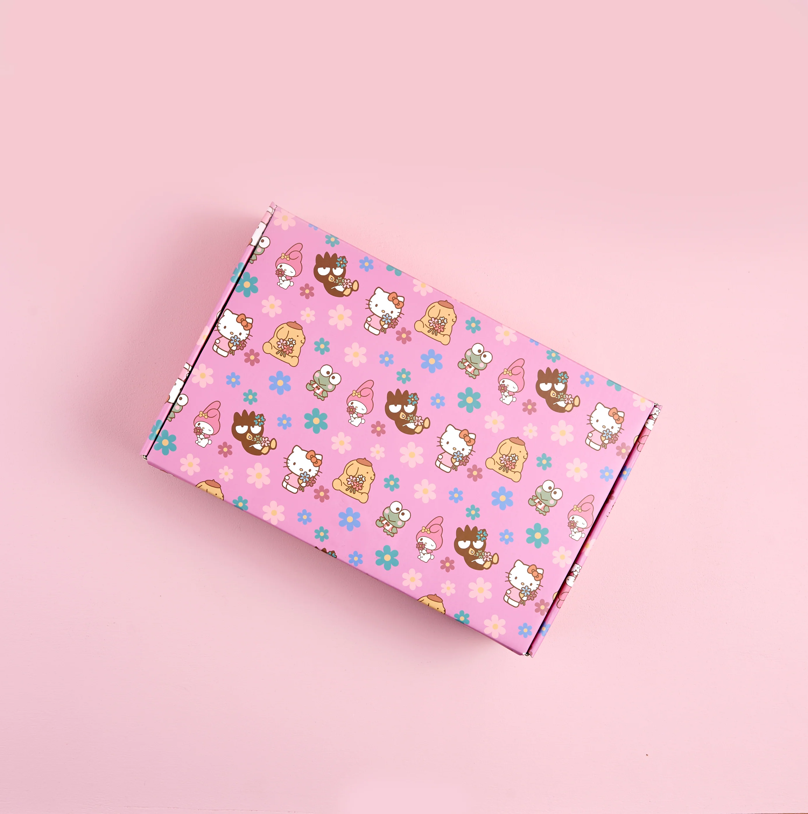 Hello Kitty x Erin Condren Special Edition Gift Box - Image 7